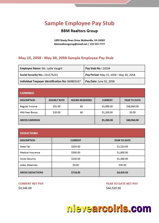 BBM realtors group employee pay stub